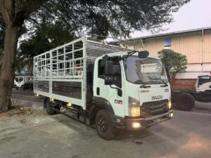 Xe tải isuzu thùng ngắn 5.7 m FRR chở gạo Bến Tre