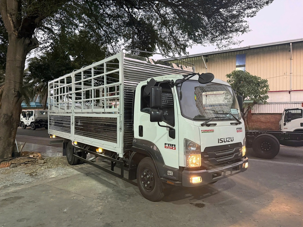 Xe tải isuzu thùng ngắn 5.7 m FRR chở gạo Bến Tre